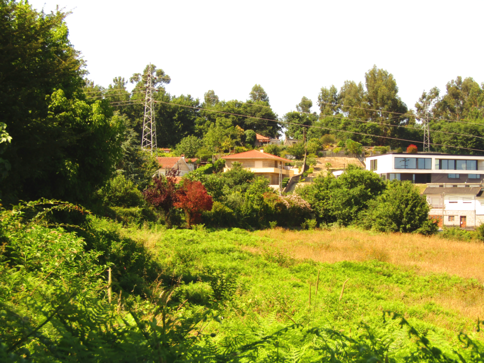 Terreno em Felgueiras com 9700 m2