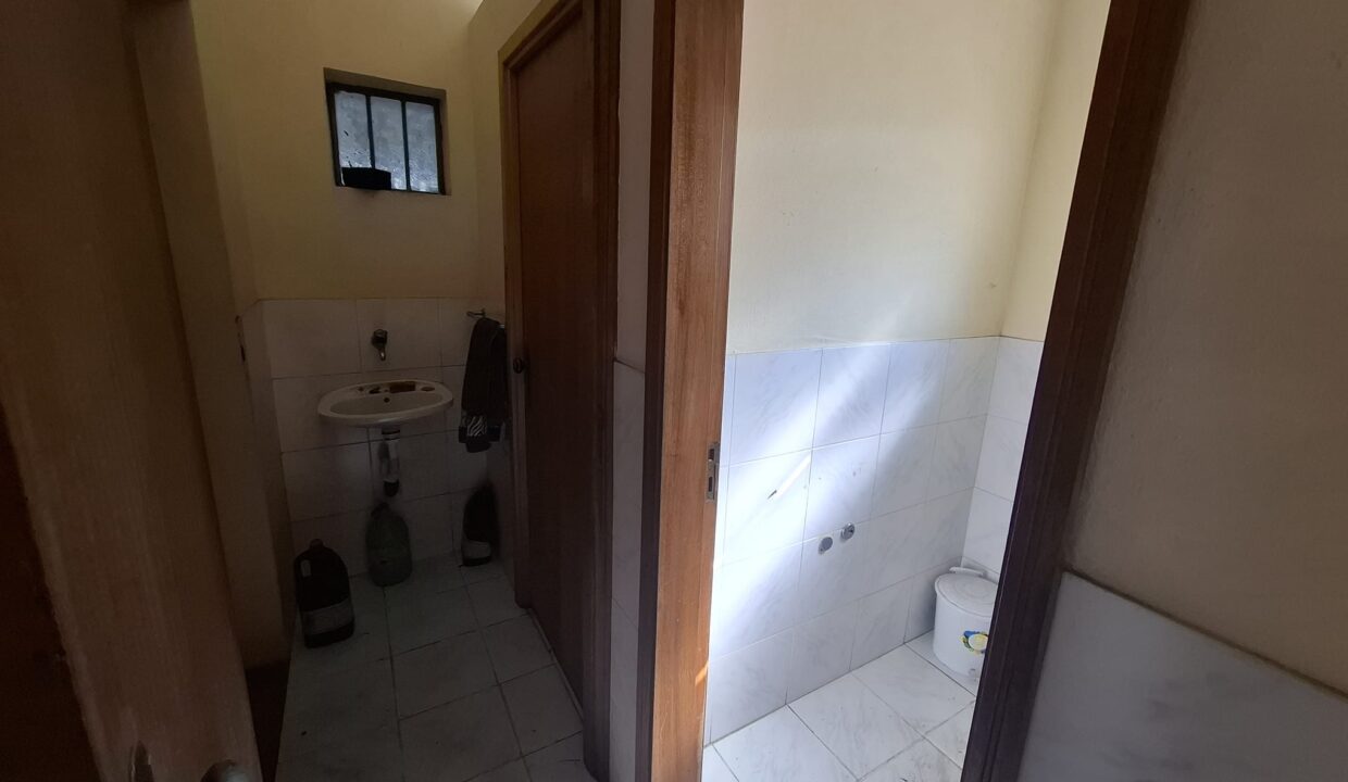 Imagem WhatsApp 2025-10-14 às 18.36.08_1cd7c11b
