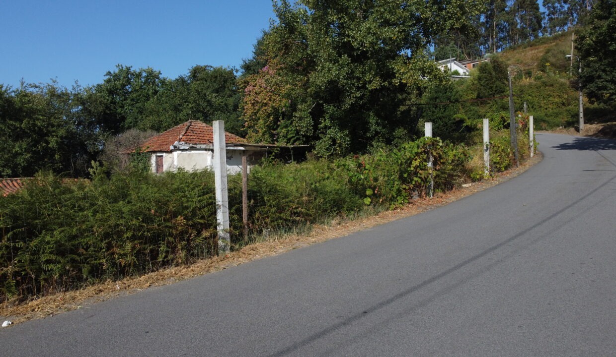 DCIM127MEDIADJI_0775.JPG